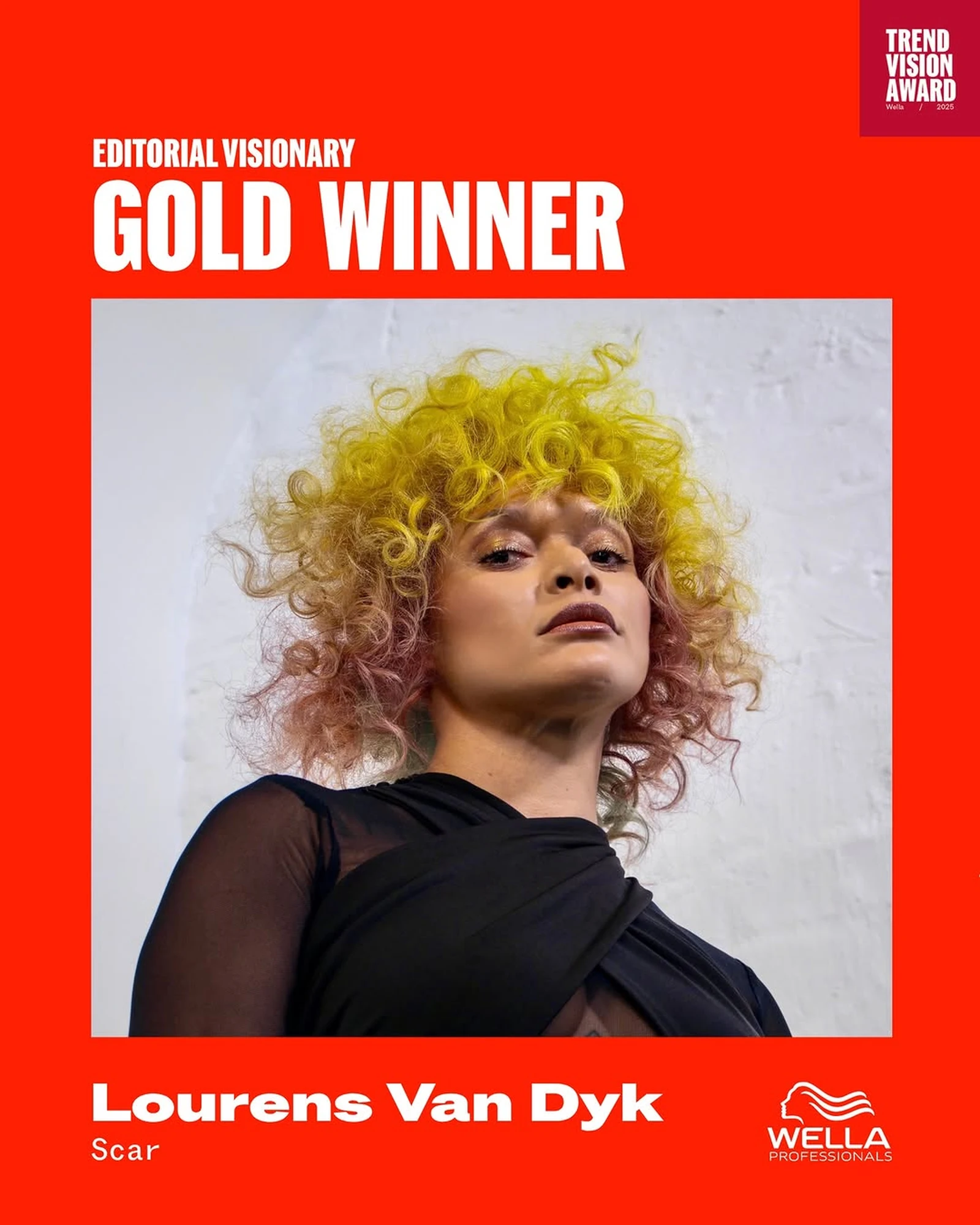Lourens van Dyk — Editorial Visionary Gold Winner, Wella Professionals National TrendVision Awards 2025, South Africa