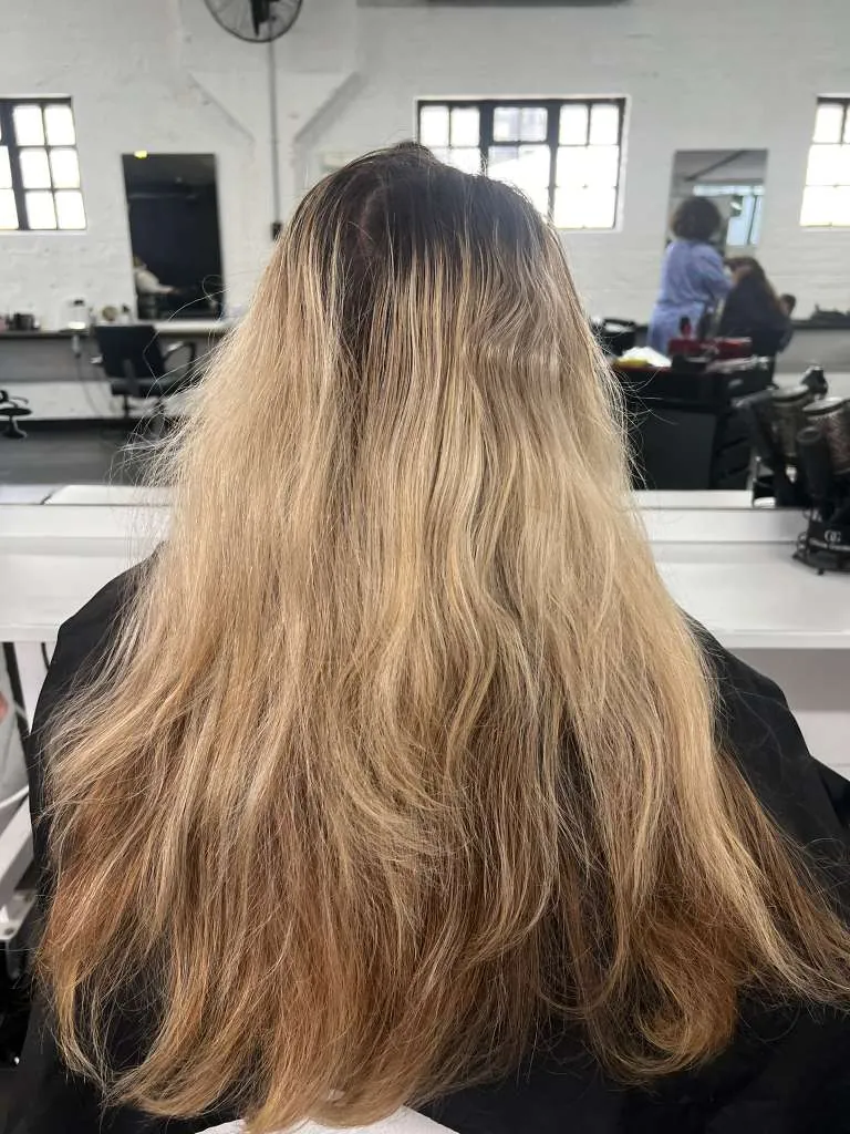 Before: mid-length brunette, dry/frizzy